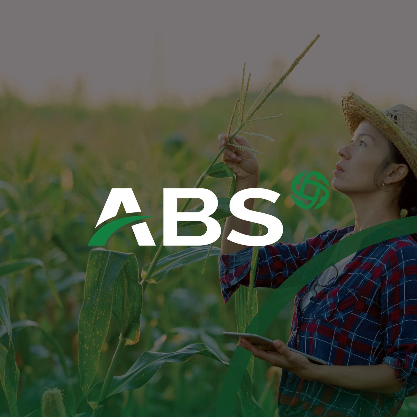 cr8consultancy-portfolio-abs-cover-logo-01-2-scaled-min