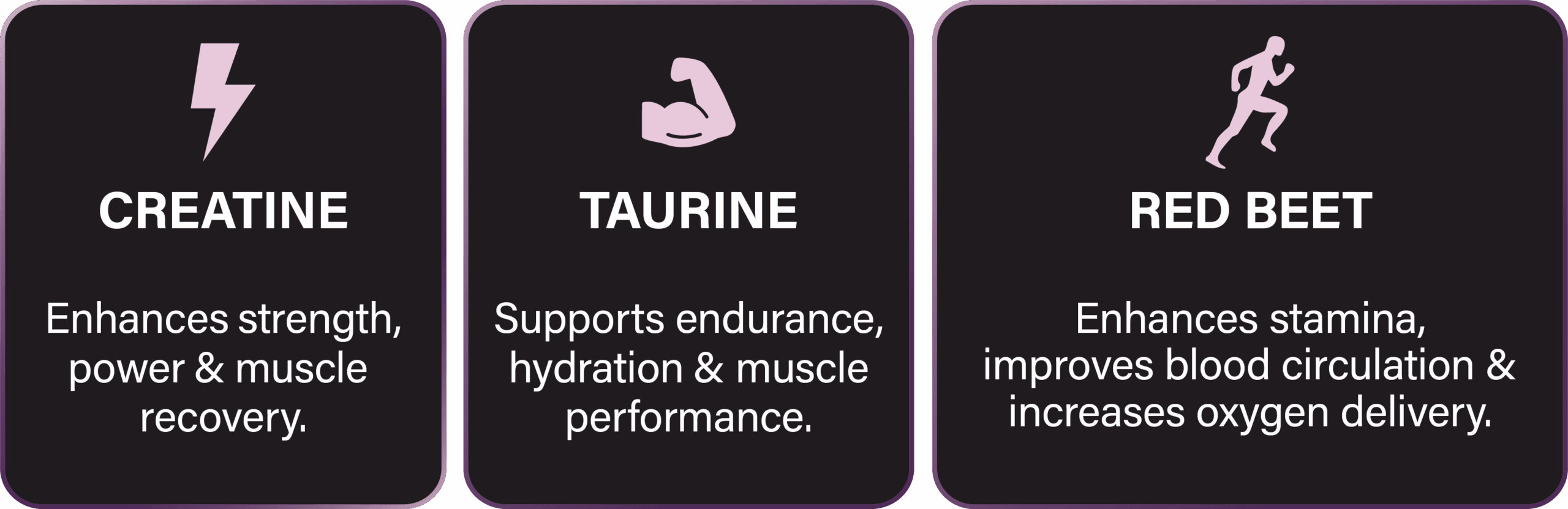 cr8consultancy-portfolio-nutrivelo-protein-packaging-label-info