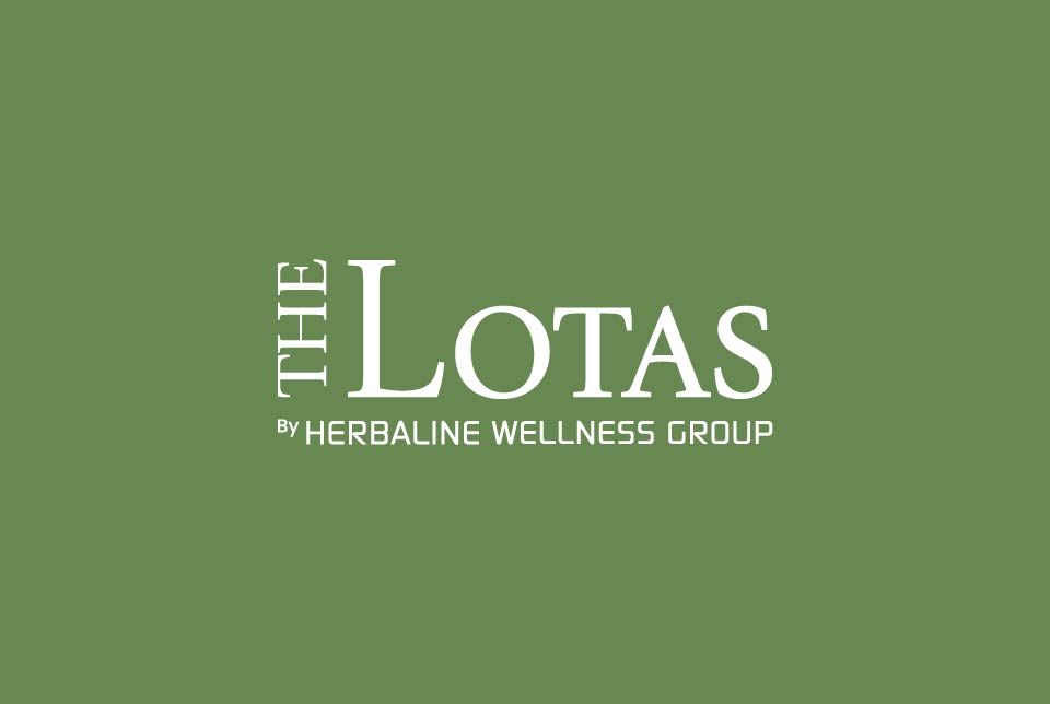 cr8consultancy-portfolio-thelotas-header-background_cr8consultancy-portfolio-thelotas-logo-white